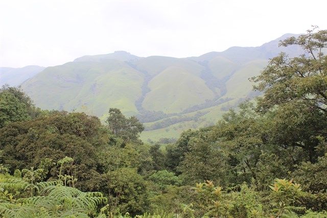Photo of Kudremukh Trek 1/5 by Kaushik Rao