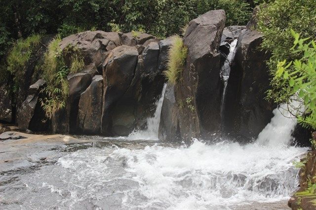 Photo of Kudremukh Trek 5/5 by Kaushik Rao