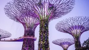 Photo of Gardens by the Bay Singapore by Kaushik Rao