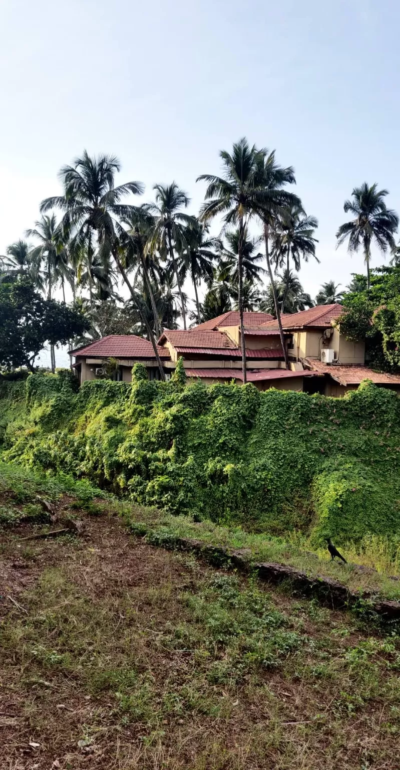 Photo of Goa by Ruchika Jain
