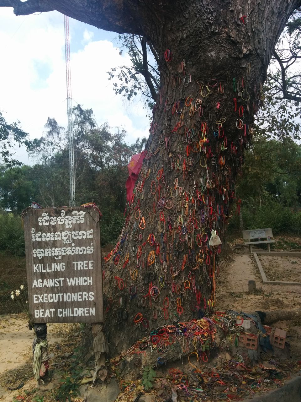Photo of Cambodia: Angkor and much more! 8/13 by Shweta