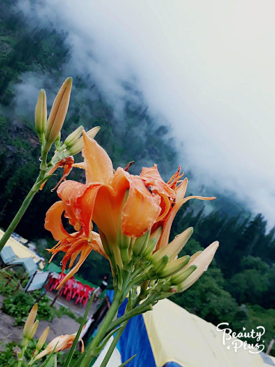 Photo of Kheerganga- An Ever Lasting Experience by Sumedha Dogra