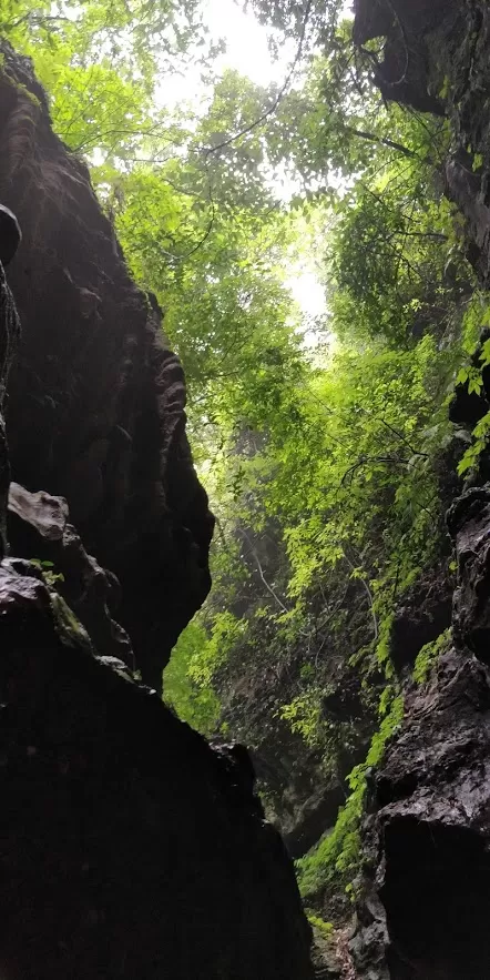 Photo of Robber's Cave, Malsi, Dehradun, Uttarakhand, India by Sumedha Dogra
