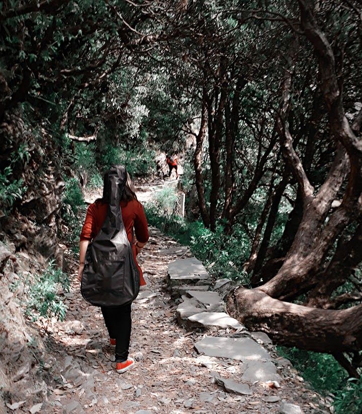 Photo of Get Your Shoes Ready for Triund Trek! #MyFirst #AmazingExperience #WeekendWorthy by Sumedha Dogra