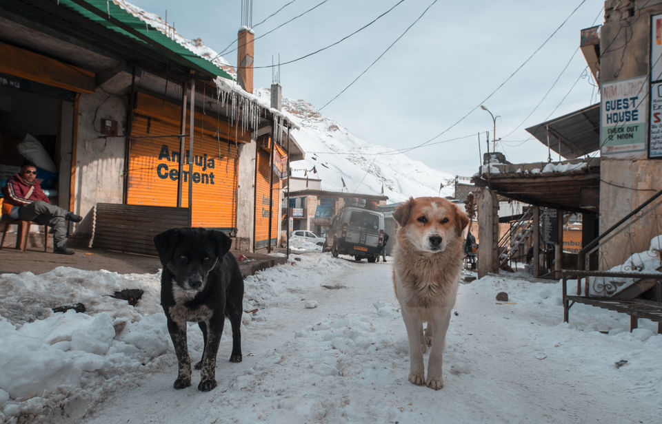 Photo of Stranded In Spiti Valley by Agniprava Nath