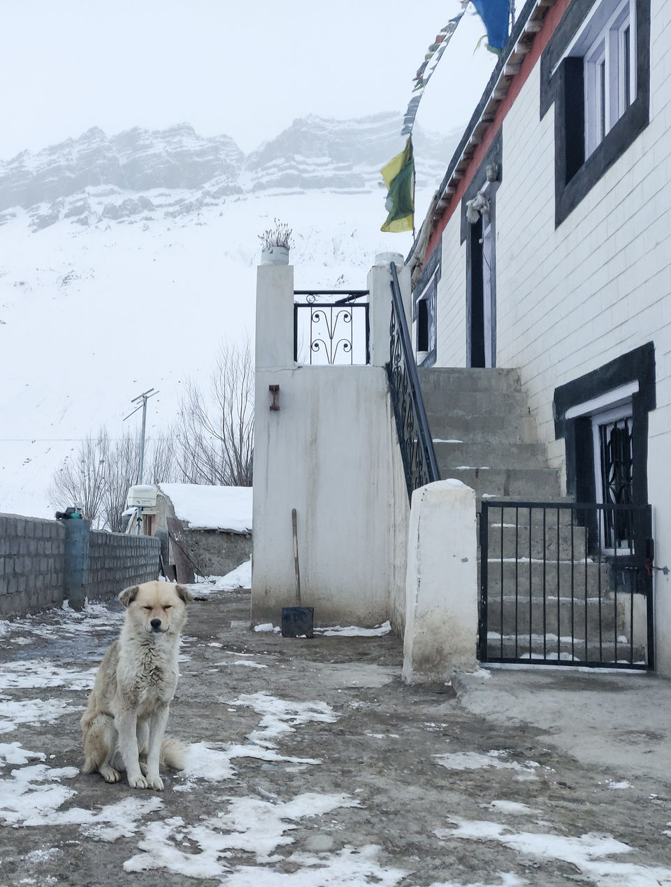 Photo of Stranded In Spiti Valley by Agniprava Nath
