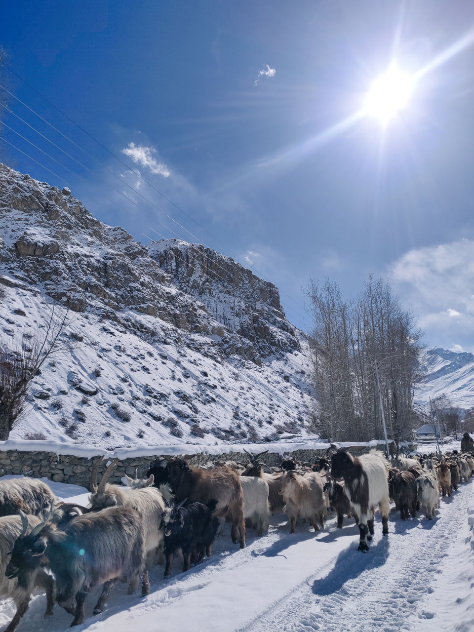 Photo of Stranded In Spiti Valley by Agniprava Nath