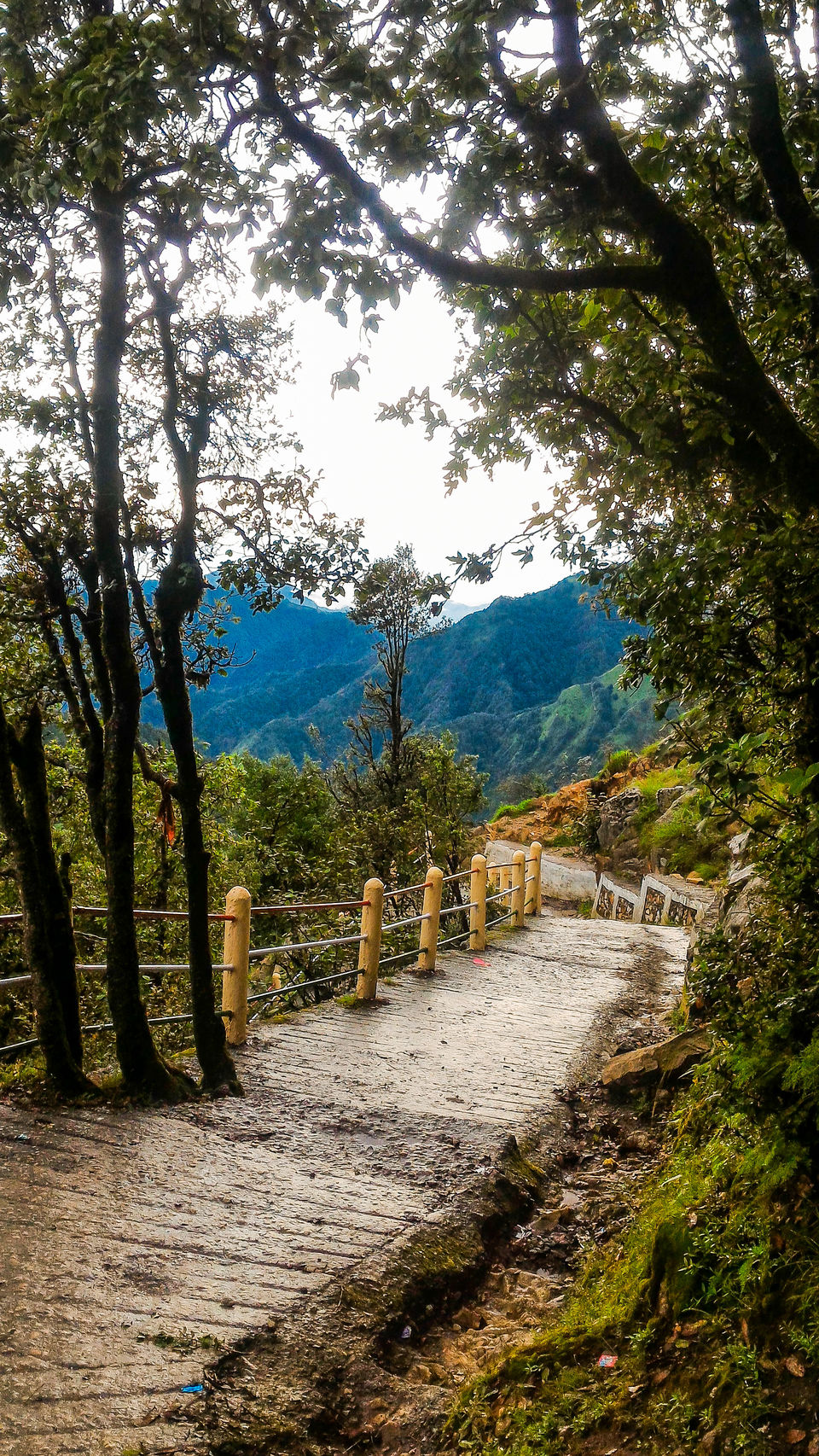 Photo of Kanatal, Kaudia Range, Uttarakhand, India by Mohit Singh Arora