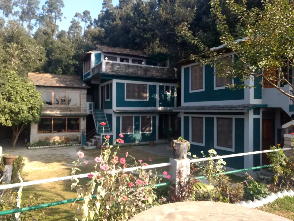 Photo of Binsar, Uttarakhand, India by Mohit Singh Arora