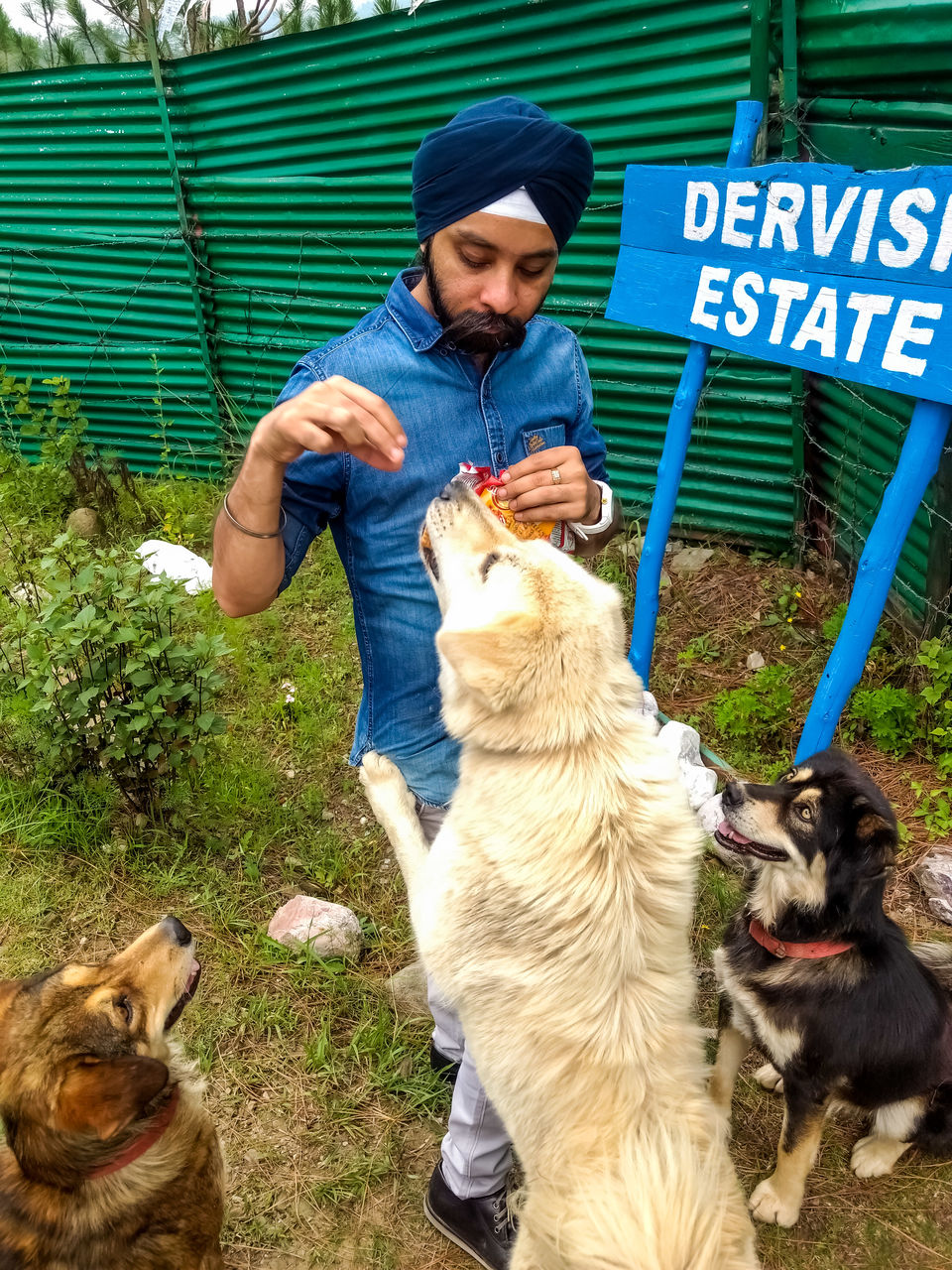 Photo of Mukteshwar, Uttarakhand, India by Mohit Singh Arora