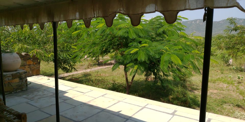 Photo of A perfect Gateway in Middle of Jungle #photoblog #delhigetawaydestination #sariska 15/36 by Mohit Singh Arora