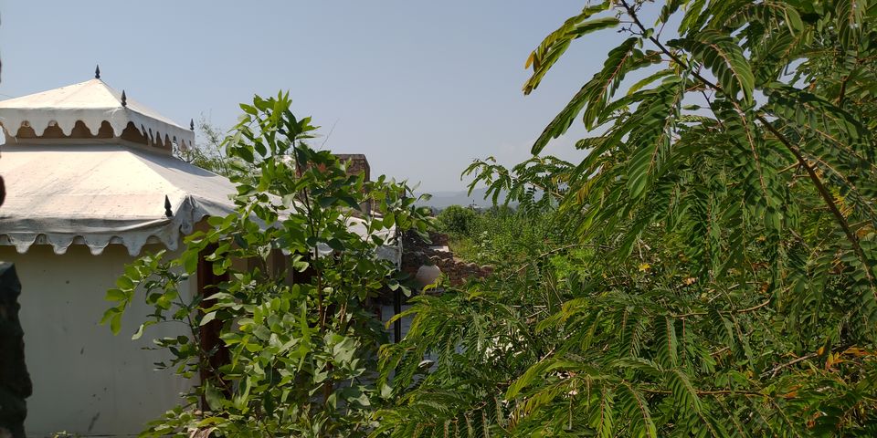 Photo of A perfect Gateway in Middle of Jungle #photoblog #delhigetawaydestination #sariska 17/36 by Mohit Singh Arora