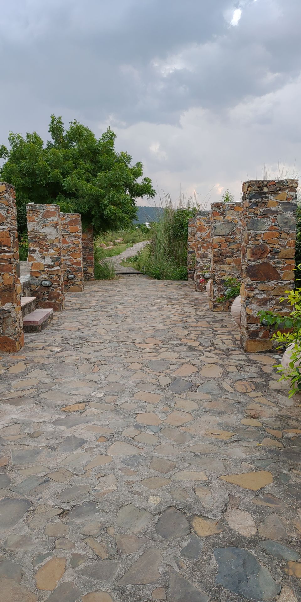 Photo of A perfect Gateway in Middle of Jungle #photoblog #delhigetawaydestination #sariska 32/36 by Mohit Singh Arora