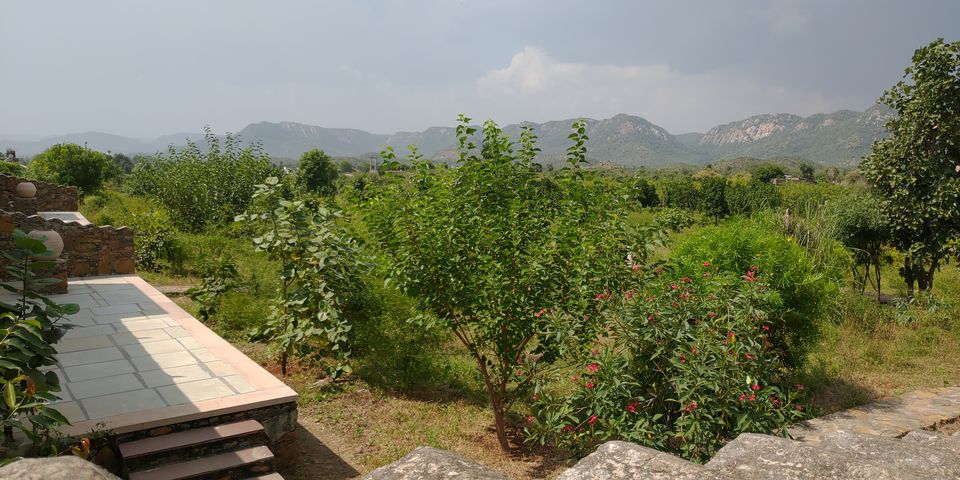 Photo of A perfect Gateway in Middle of Jungle #photoblog #delhigetawaydestination #sariska 22/36 by Mohit Singh Arora