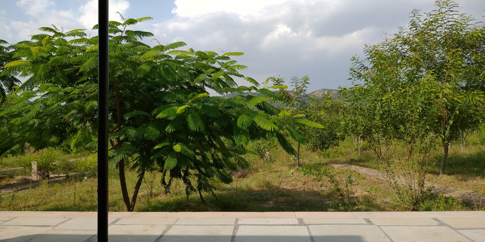 Photo of A perfect Gateway in Middle of Jungle #photoblog #delhigetawaydestination #sariska 33/36 by Mohit Singh Arora