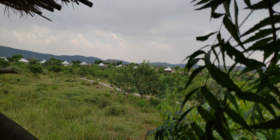 Photo of A perfect Gateway in Middle of Jungle #photoblog #delhigetawaydestination #sariska by Mohit Singh Arora