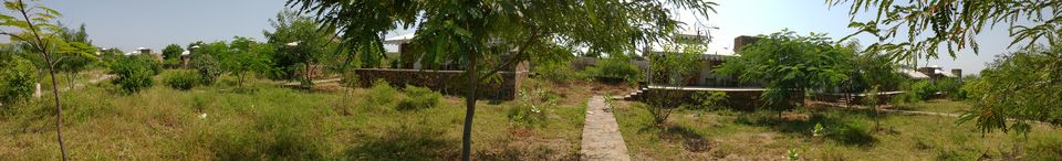 Photo of A perfect Gateway in Middle of Jungle #photoblog #delhigetawaydestination #sariska 1/36 by Mohit Singh Arora