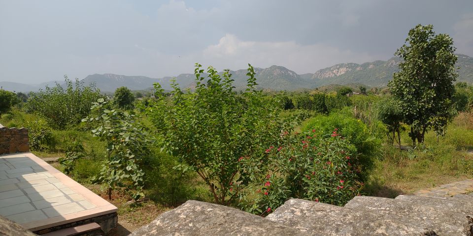 Photo of A perfect Gateway in Middle of Jungle #photoblog #delhigetawaydestination #sariska 2/36 by Mohit Singh Arora