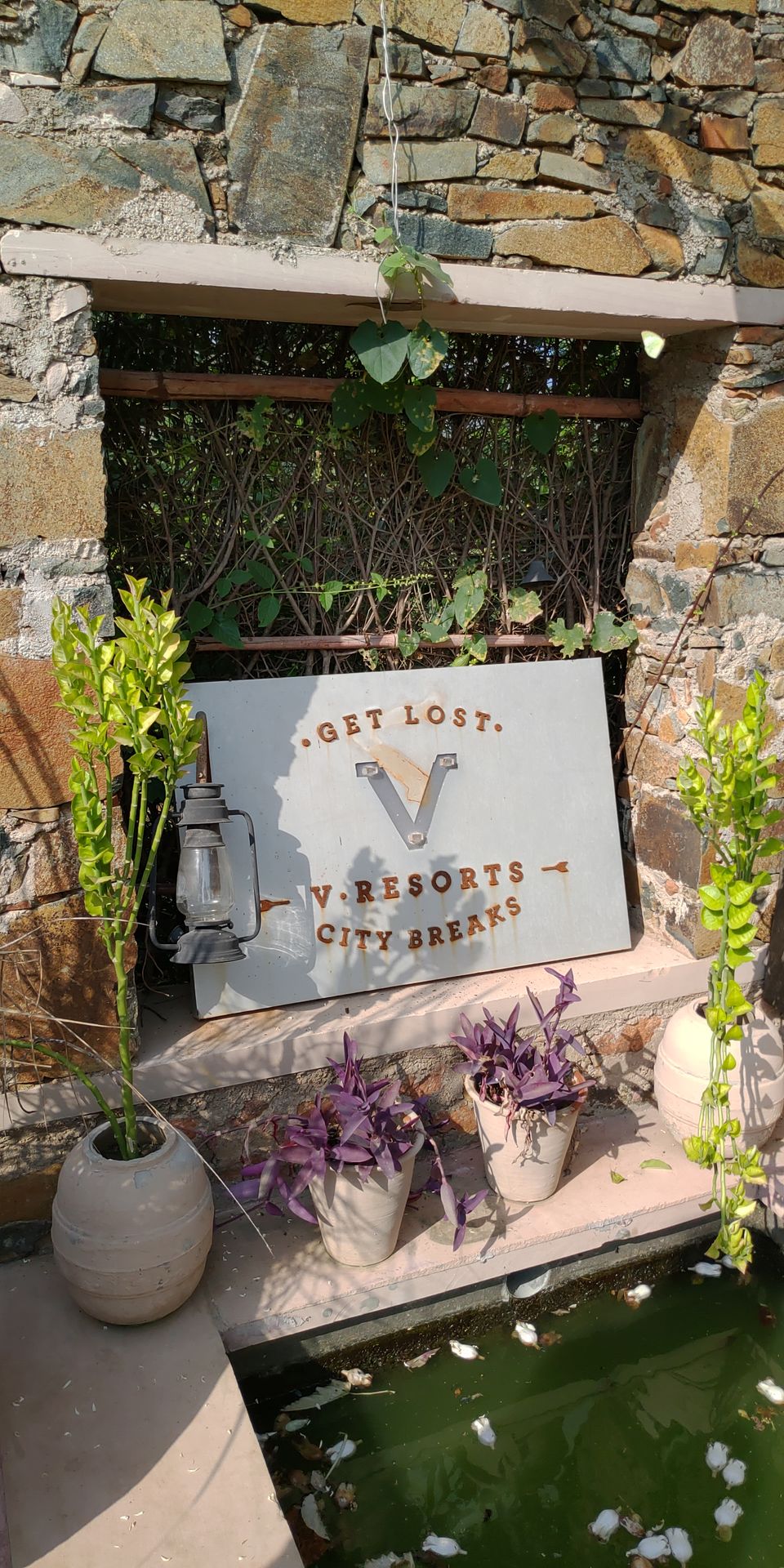Photo of A perfect Gateway in Middle of Jungle #photoblog #delhigetawaydestination #sariska 4/36 by Mohit Singh Arora