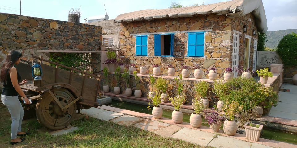 Photo of A Jungle Adventure : Perfect Getaway from Delhi by Mohit Singh Arora