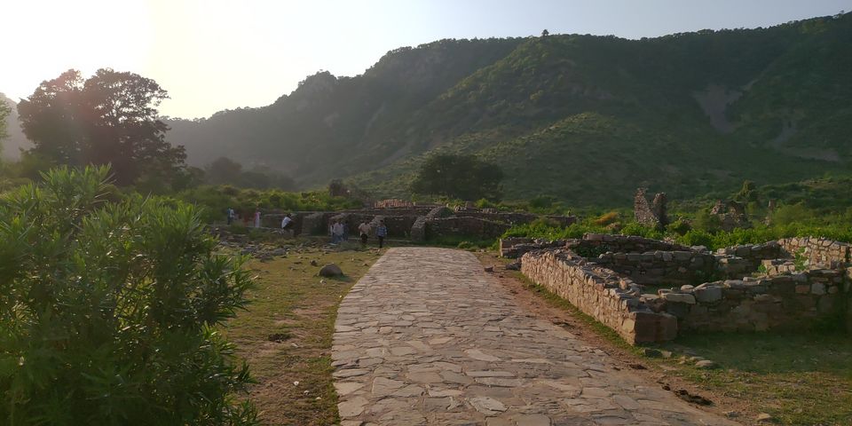 Photo of A Jungle Adventure : Perfect Getaway from Delhi by Mohit Singh Arora
