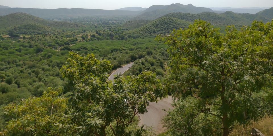 Photo of A Jungle Adventure : Perfect Getaway from Delhi 6/7 by Mohit Singh Arora