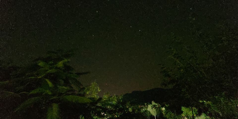 Photo of A Jungle Adventure : Perfect Getaway from Delhi by Mohit Singh Arora