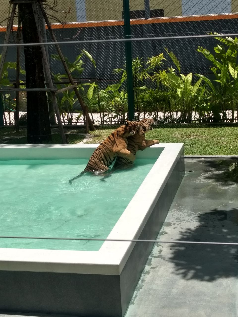 Photo of A Vacation to Remember - Part 1 - Pattaya by Mohit Singh Arora