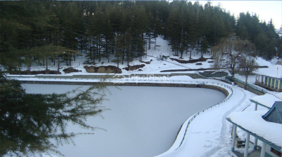 Photo of A Better Hill Station Not So Far : Narkanda , Himachal Pradesh 12/20 by Mohit Singh Arora