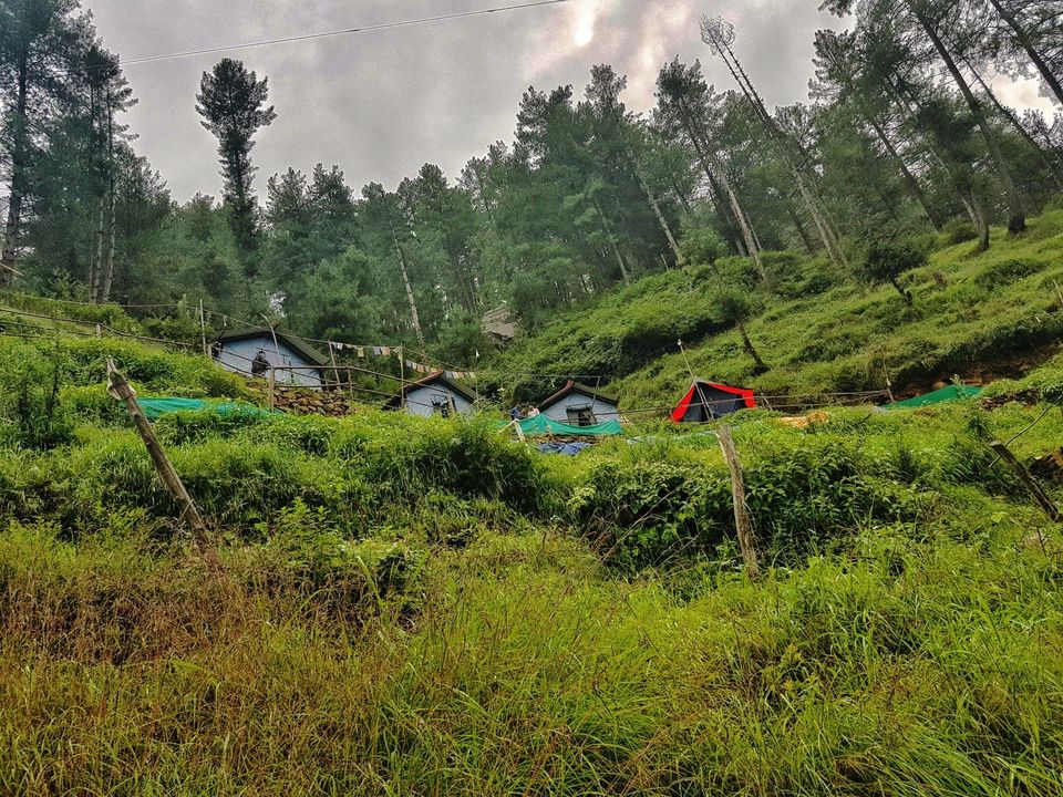 Photo of A Better Hill Station Not So Far : Narkanda , Himachal Pradesh 19/20 by Mohit Singh Arora