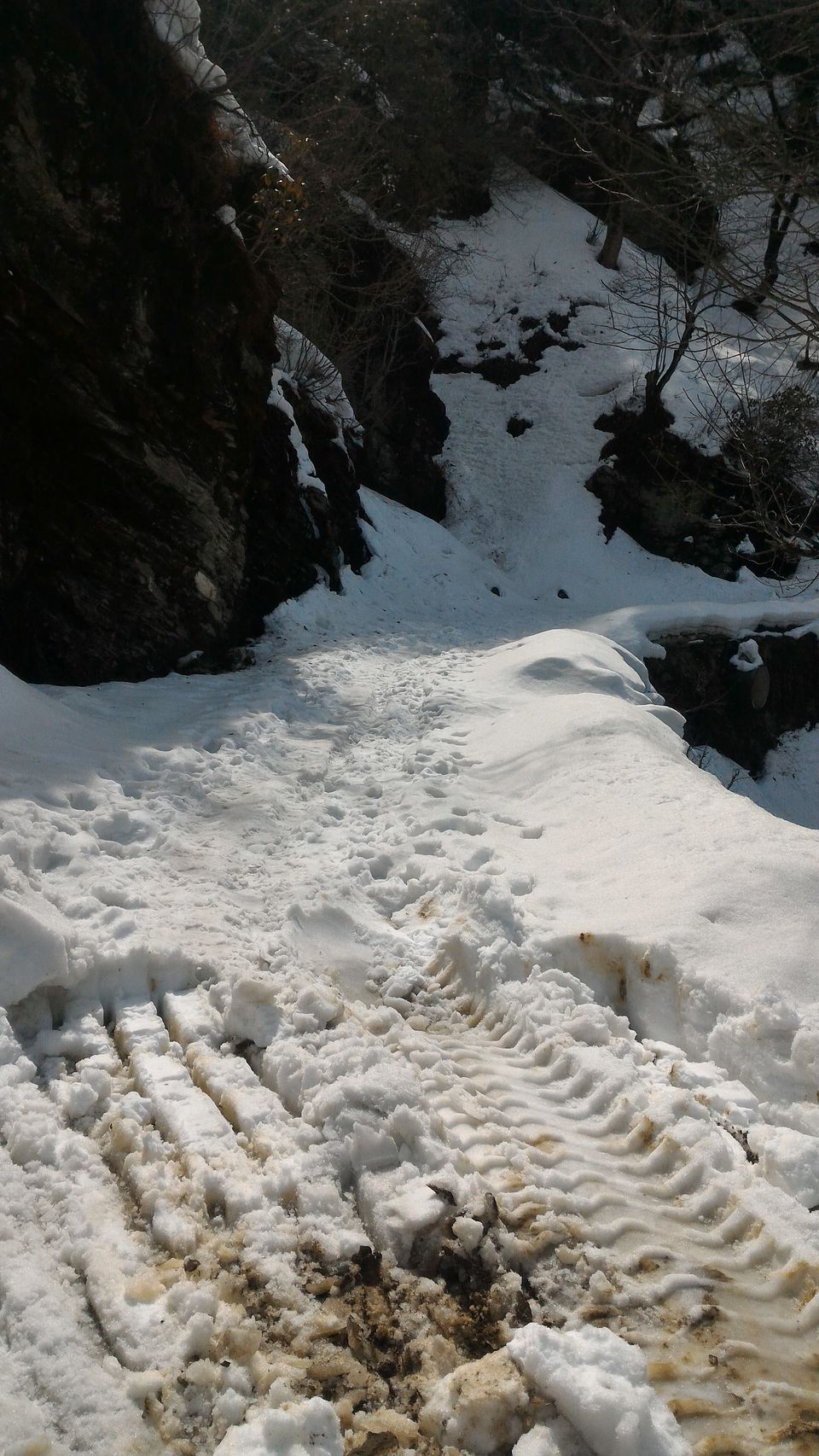 Photo of An Off-Beat Jungle Trip : Tirthan Valley - Jalori Pass - Narkanda 13/40 by Mohit Singh Arora
