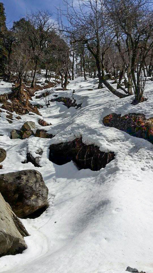 Photo of An Off-Beat Jungle Trip : Tirthan Valley - Jalori Pass - Narkanda 20/40 by Mohit Singh Arora