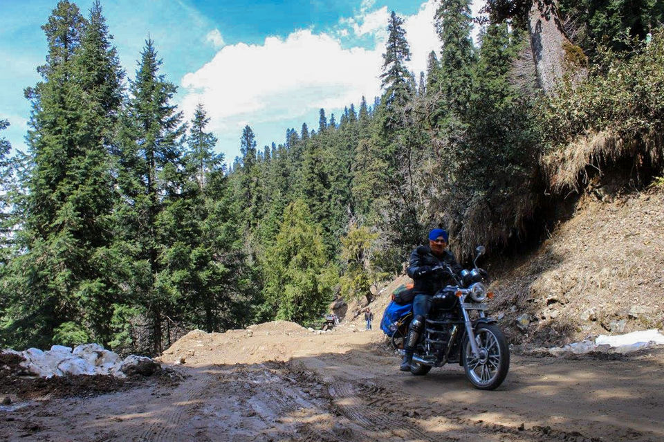 Photo of An Off-Beat Jungle Trip : Tirthan Valley - Jalori Pass - Narkanda 19/40 by Mohit Singh Arora