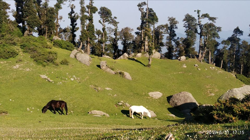 Photo of Churdhar पवित्र स्थान by Atul_the_घुमक्कड़