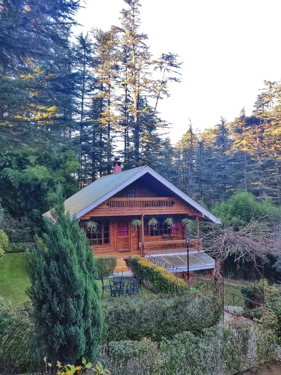 Photo of The Chalets Naldehra, Shimla, Himachal Pradesh, India by Tanvi Jain (eatslurptravel) 