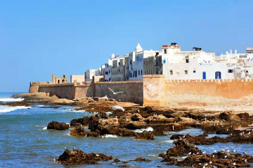 Photo of Camel Ride Tours - Morocco Tours - Desert Trips 6/22 by Camel Ride Tours