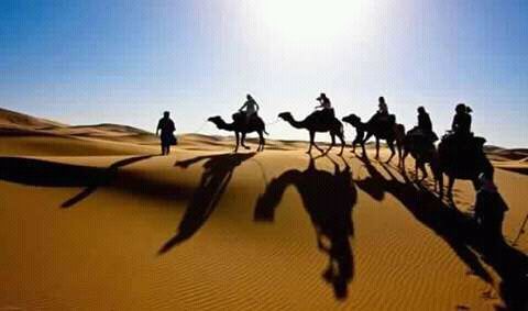 Photo of Camel Ride Tours - Morocco Tours - Desert Trips 19/22 by Camel Ride Tours