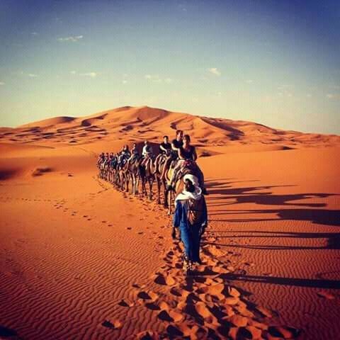 Photo of Camel Ride Tours - Morocco Tours - Desert Trips 20/22 by Camel Ride Tours