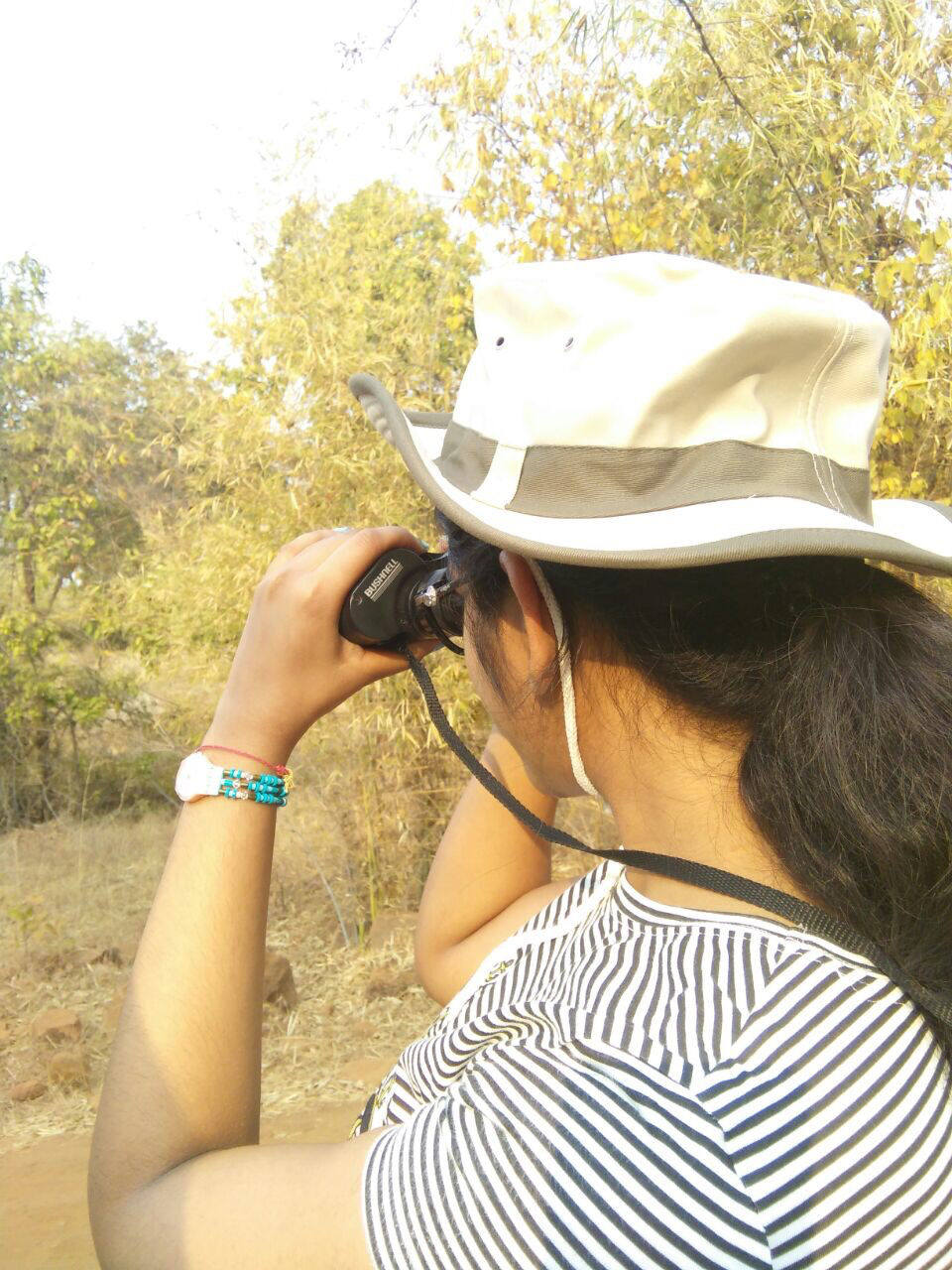 Photo of Tadoba Tiger Reserve, Tekadi Mandavzari, Maharashtra, India by Chidhvila Reddy