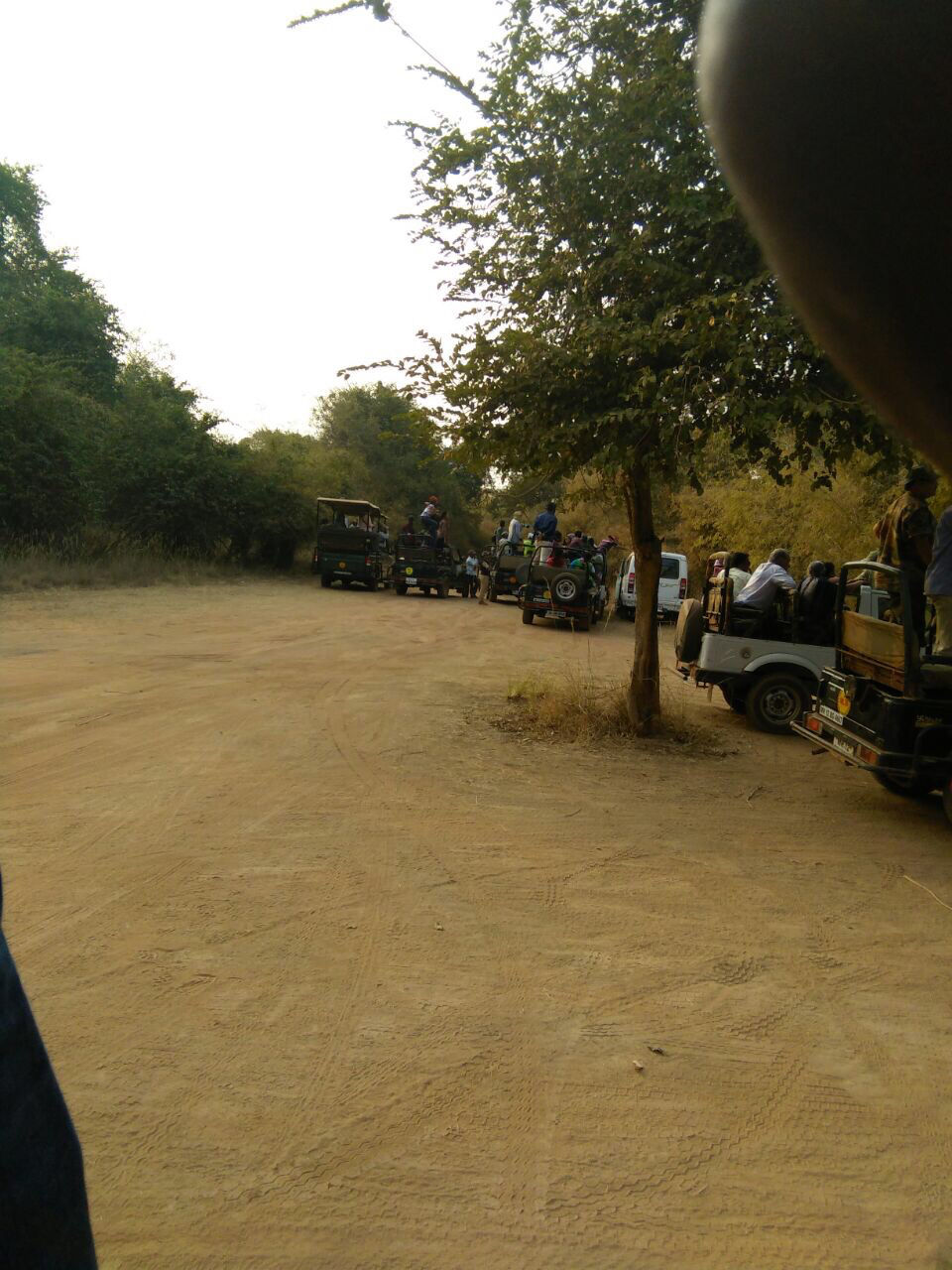 Photo of Tadoba Tiger Reserve, Tekadi Mandavzari, Maharashtra, India by Chidhvila Reddy