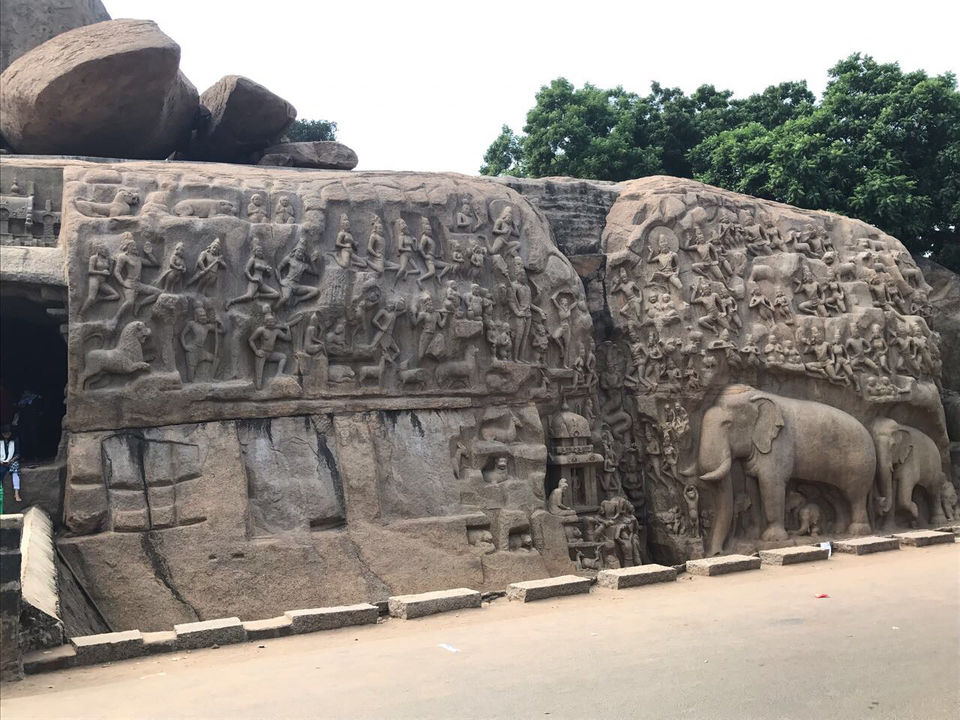 Photo of Mahabalipuram-pondi-pichavaram-chidambaram by Chidhvila Reddy