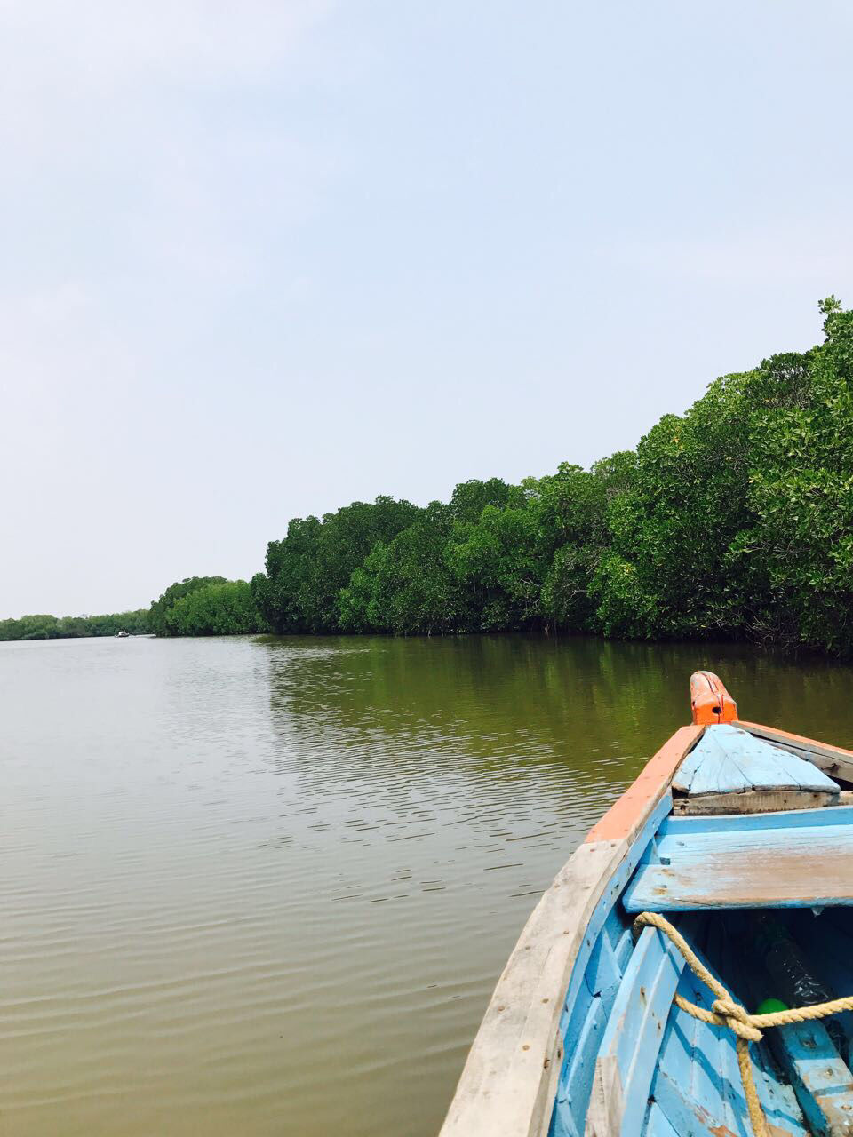 Photo of Pichavaram, Tamil Nadu, India by Chidhvila Reddy