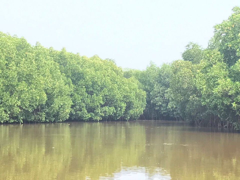 Photo of Pichavaram, Tamil Nadu, India by Chidhvila Reddy