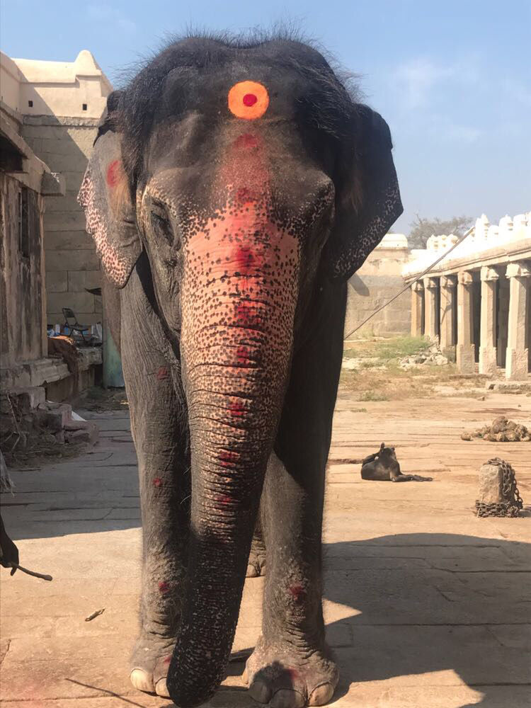 Photo of Hampi, Karnataka, India by Chidhvila Reddy