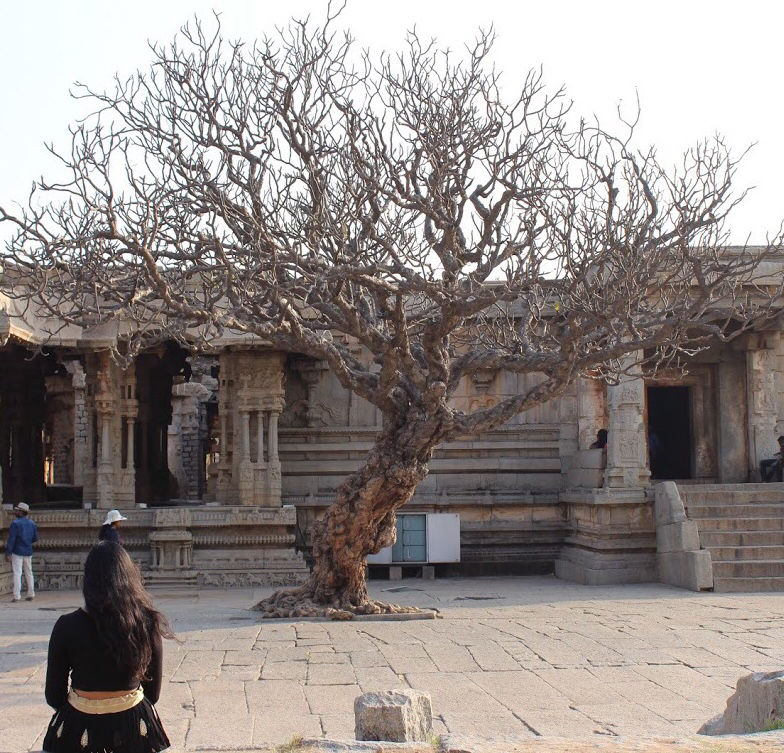 Photo of Hampi..Rocks Recite Tales Here!! by Chidhvila Reddy