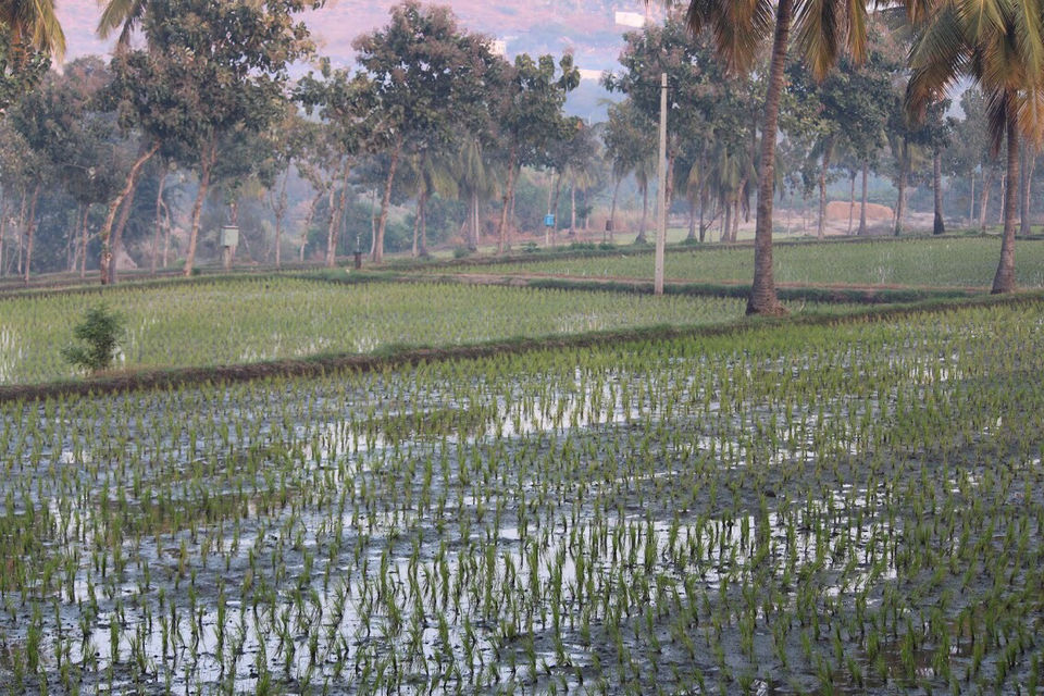 Photo of Hampi, Karnataka, India by Chidhvila Reddy