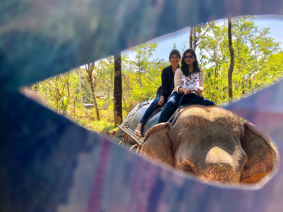 Photo of Why You Should Go On An All Girls Trip To Kerala!! by Chidhvila Reddy