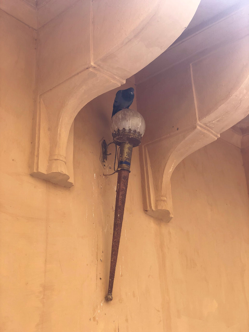 Photo of Jaipur, Rajasthan, India by Chidhvila Reddy