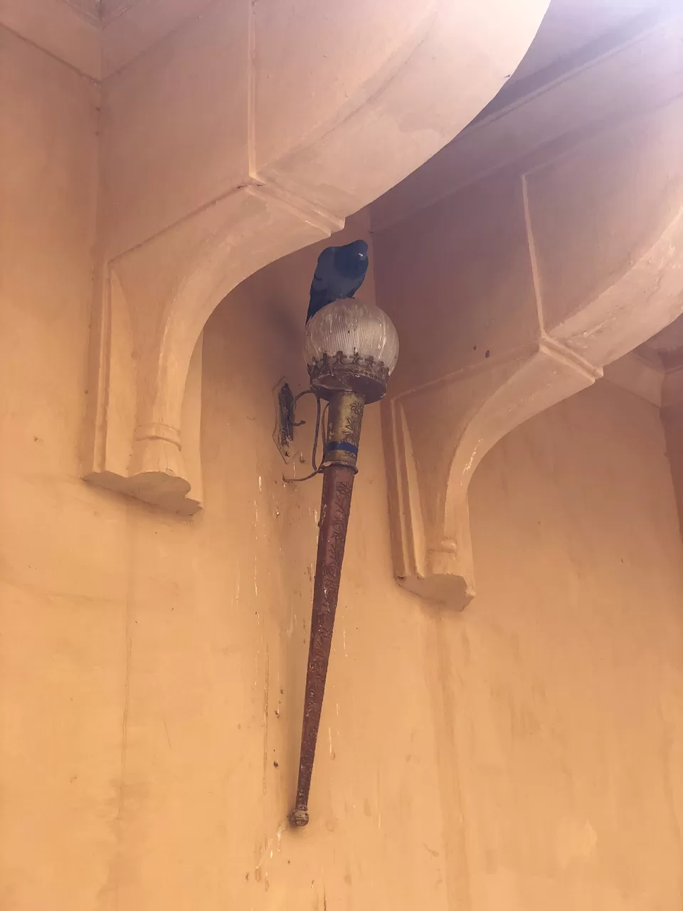 Photo of Jaipur, Rajasthan, India by Chidhvila Reddy