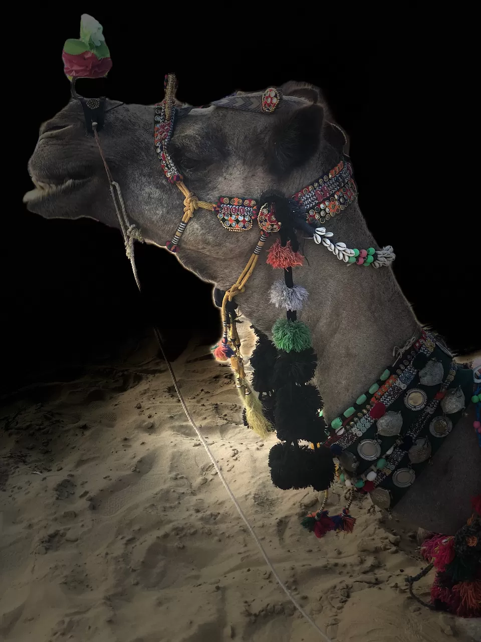 Photo of Sam Sand Dunes, Sand Dunes, Sam, Rajasthan, India by Chidhvila Reddy